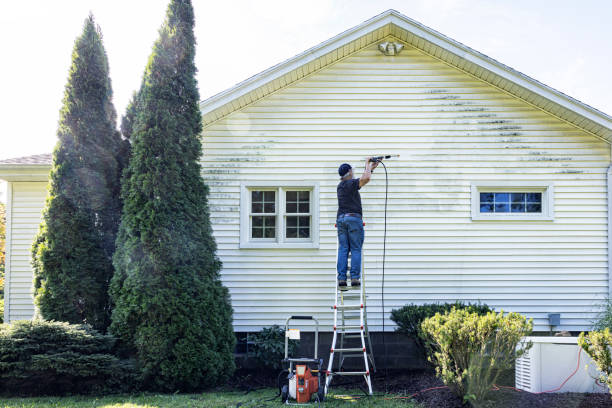 Best Affordable Power Washing  in Monticello, IA