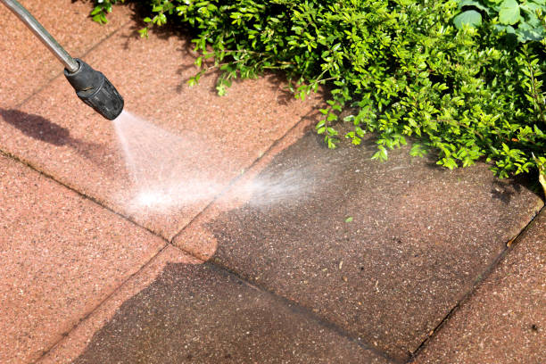 Best Deck Cleaning Services  in Monticello, IA